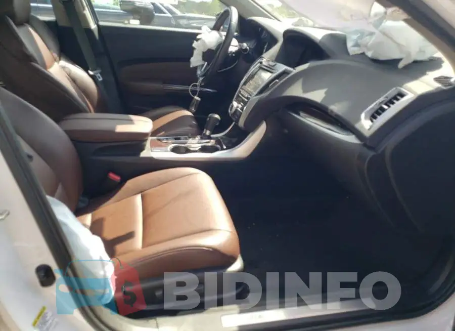 19UUB1F33GA004052 Photo# 5