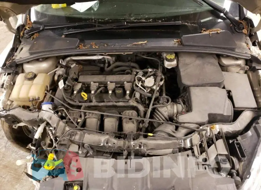 1FADP3F24JL224692 Photo# 7