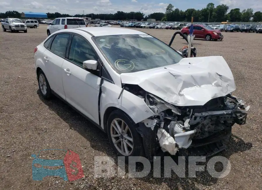 1FADP3F2XGL331545 Photo# 1