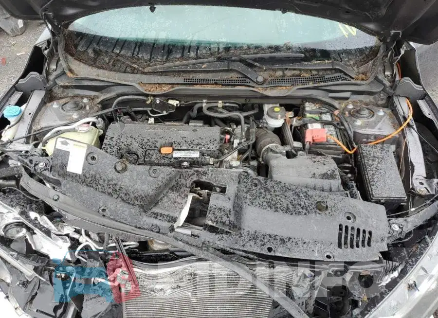 19XFC2F54GE219691 Photo# 7