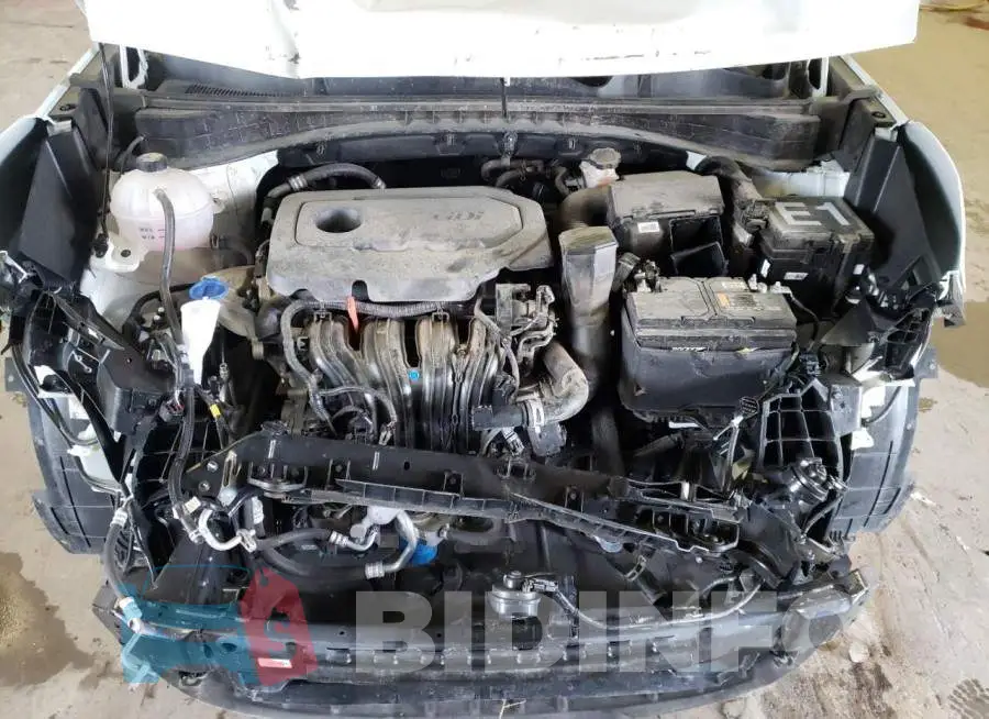 KNDPM3AC3M7872988 Photo# 7