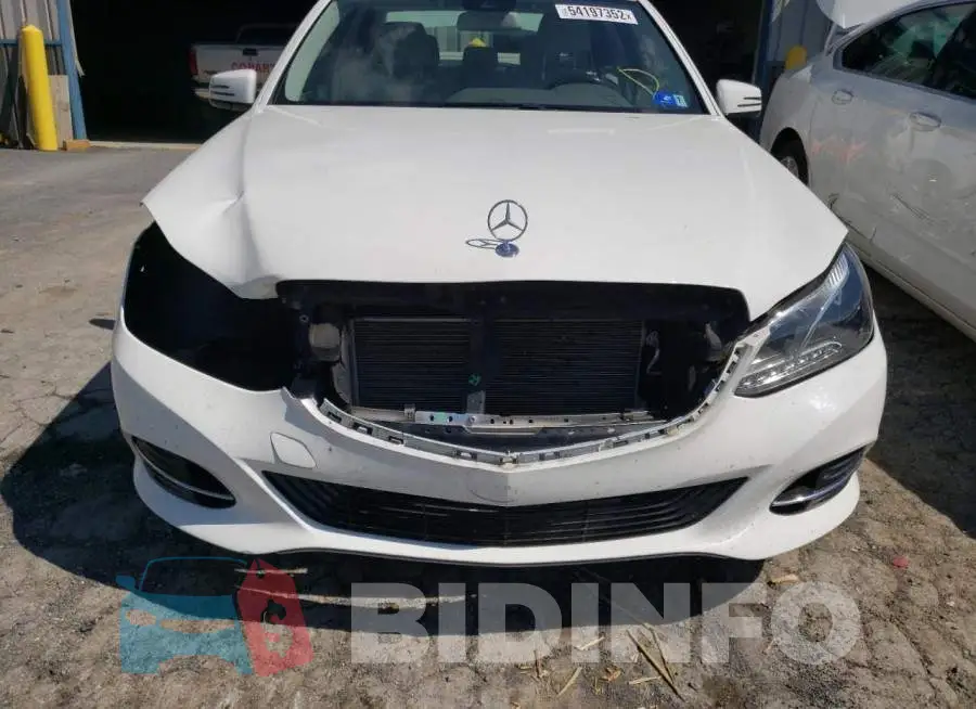 WDDHF8JB2GB241059 Photo# 9