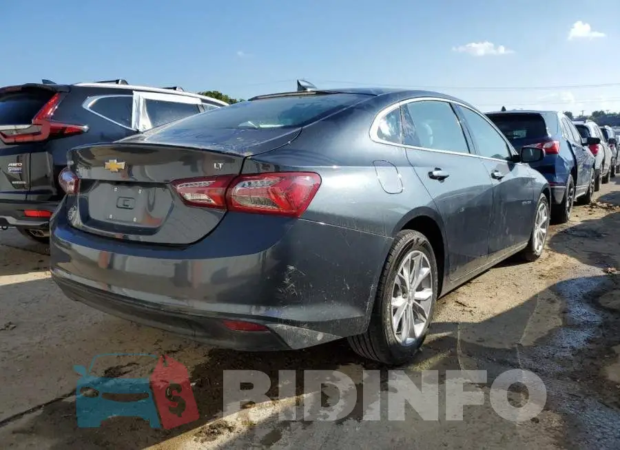 1G1ZD5ST5KF203233 Photo# 4