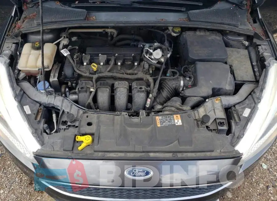 1FADP3E23GL360130 Photo# 7