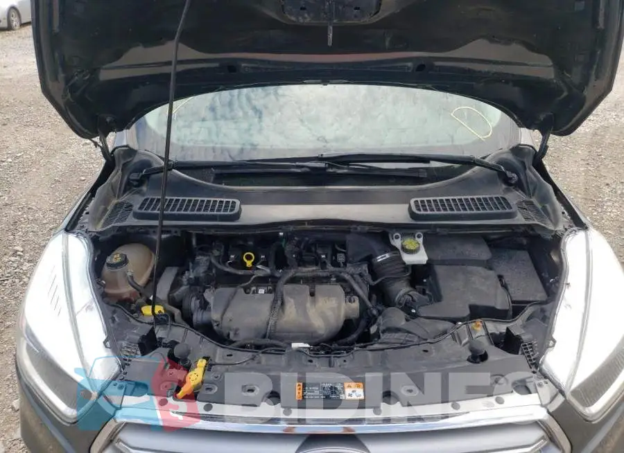 1FMCU9G95HUD14141 Photo# 7