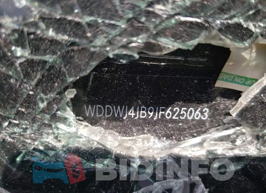 WDDWJ4JB9JF625063 Photo# 10