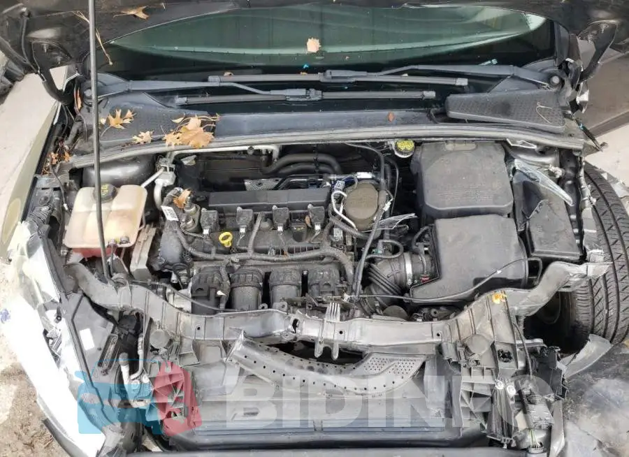 1FADP3F21GL265936 Photo# 7