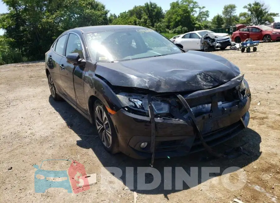 2HGFC1F35GH642133 Photo# 1