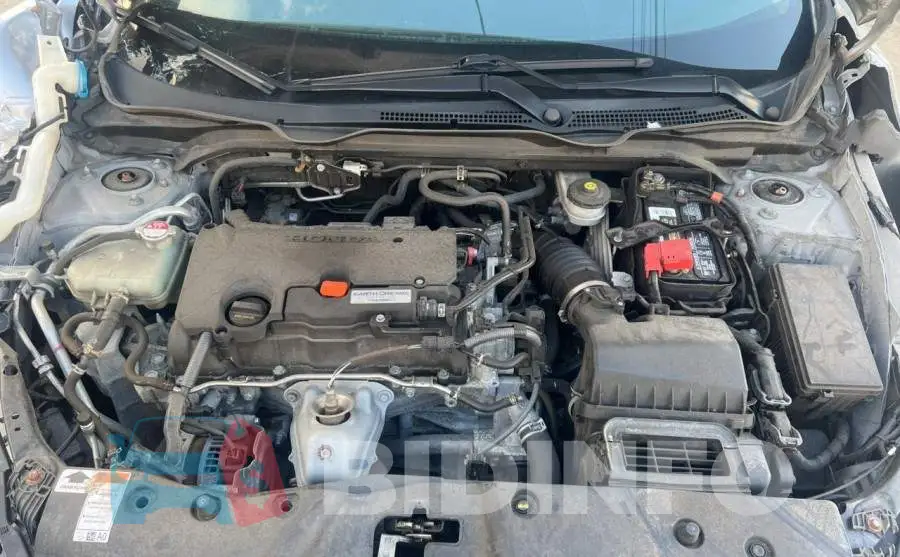 2HGFC2F56HH561747 Photo# 7