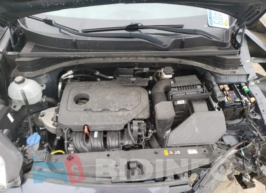 KNDPM3AC1L7724823 Photo# 7