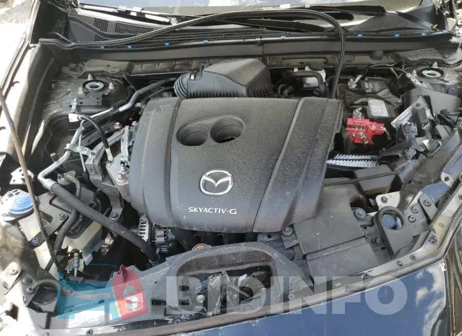 3MVDMBCL5MM265361 Photo# 7