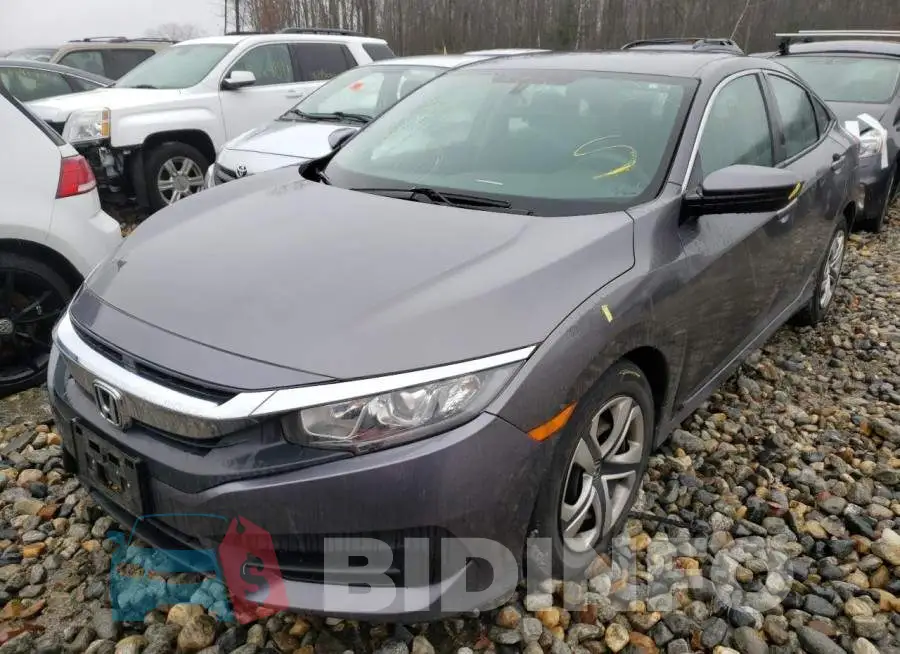 19XFC2F52HE003274 Photo# 2