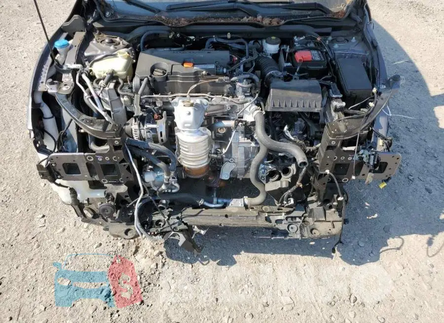 19XFC2F64LE207513 Photo# 7