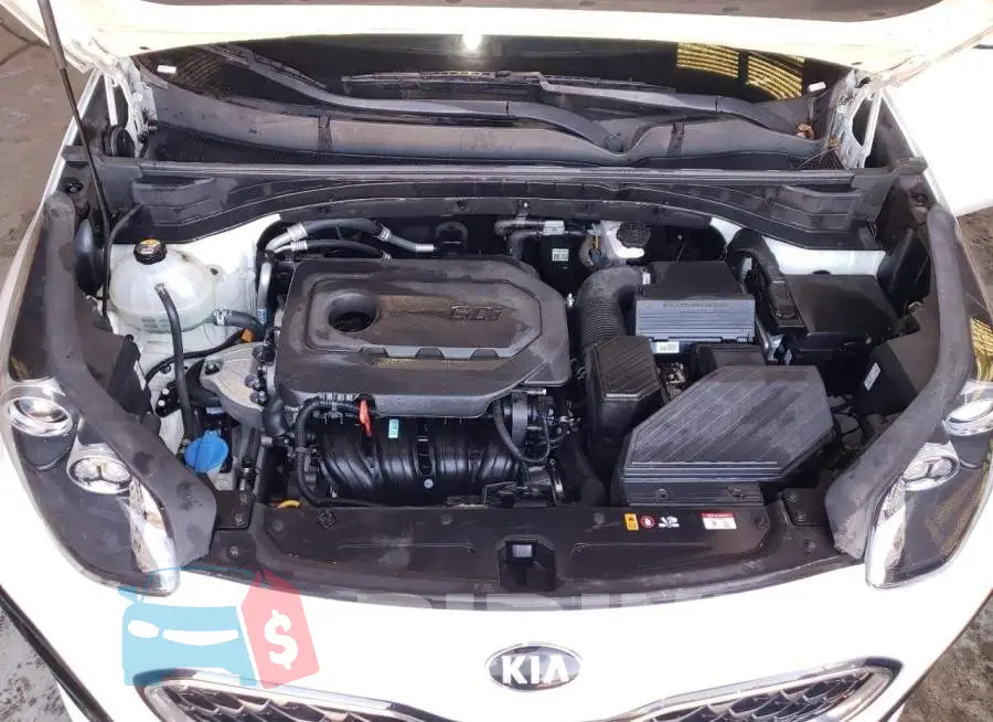 KNDPM3AC2L7725656 Photo# 7