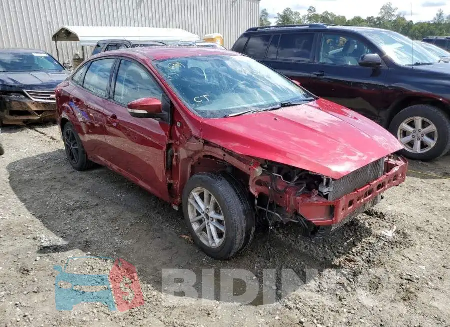 1FADP3F29GL243800 Photo# 1