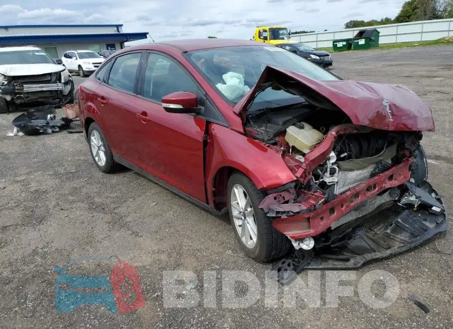 1FADP3F2XGL310341 Photo# 1