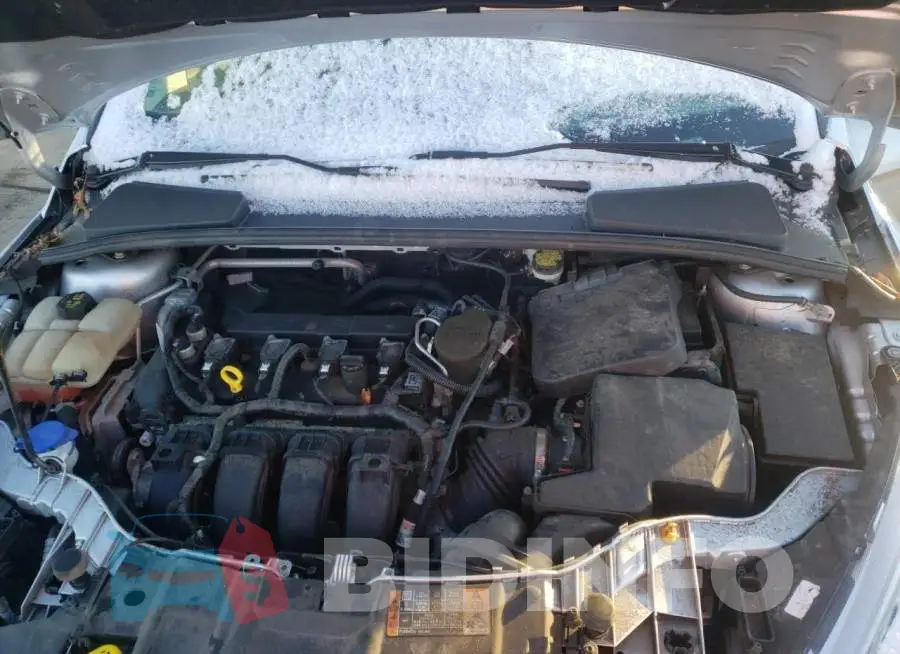 1FADP3F27GL264497 Photo# 7