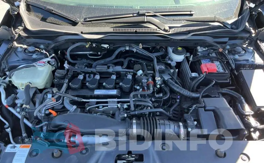 19XFC1F35LE208041 Photo# 7