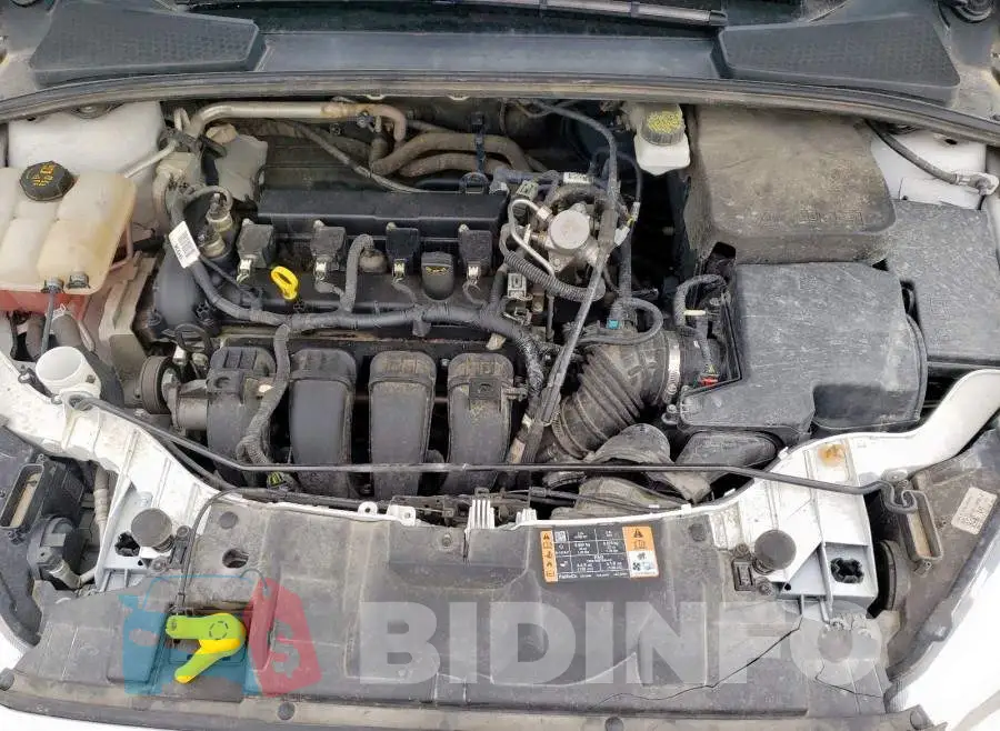 1FADP3E2XHL263413 Photo# 7