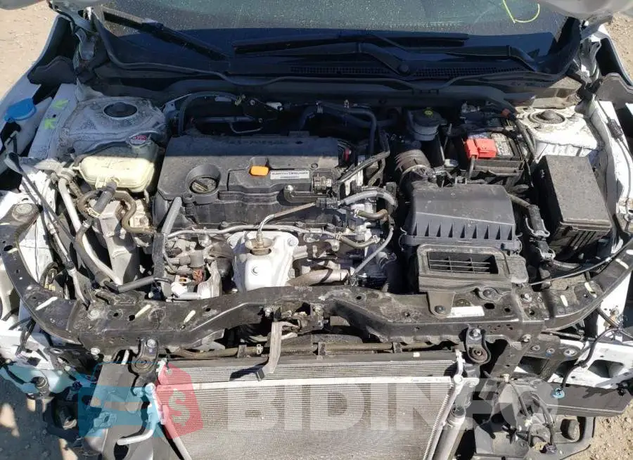 19XFC2F60LE206701 Photo# 7