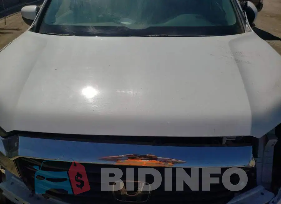 5FPYK3F50MB006414 Photo# 7