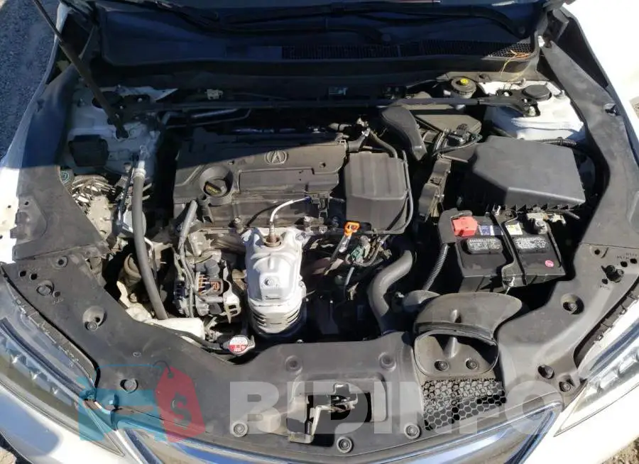 19UUB1F51GA005380 Photo# 7