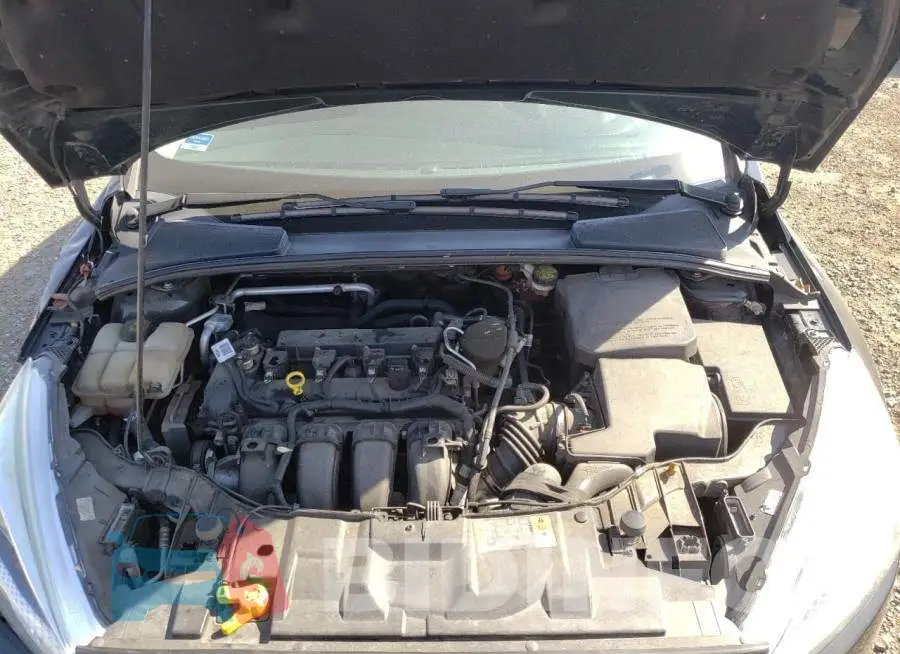 1FADP3F24GL306317 Photo# 7