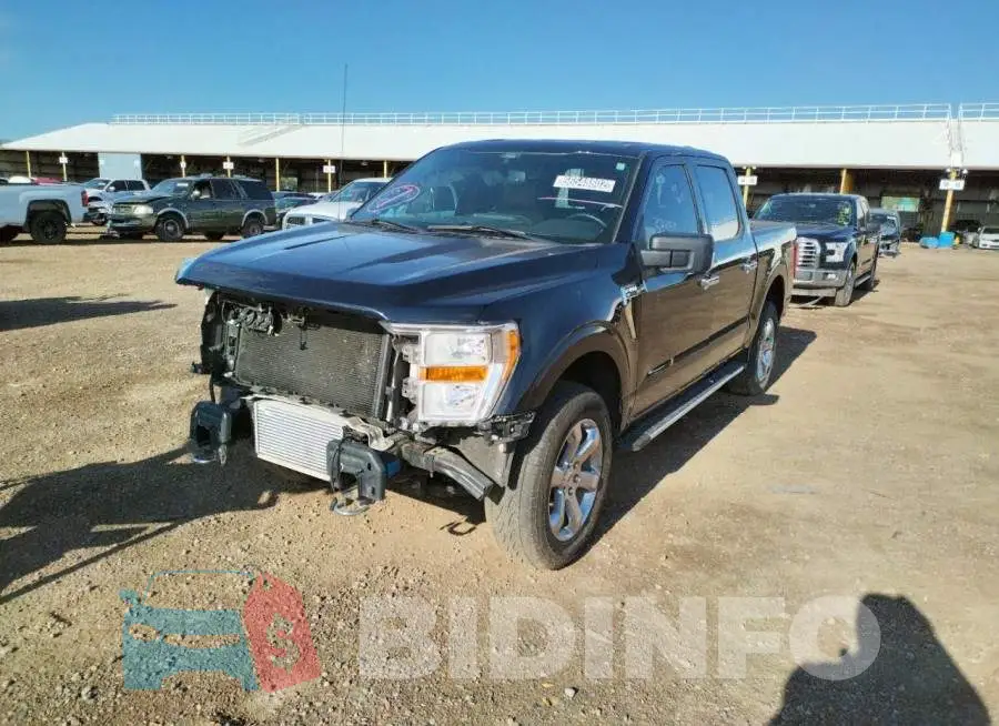 1FTFW1E82MKD95077 Photo# 2