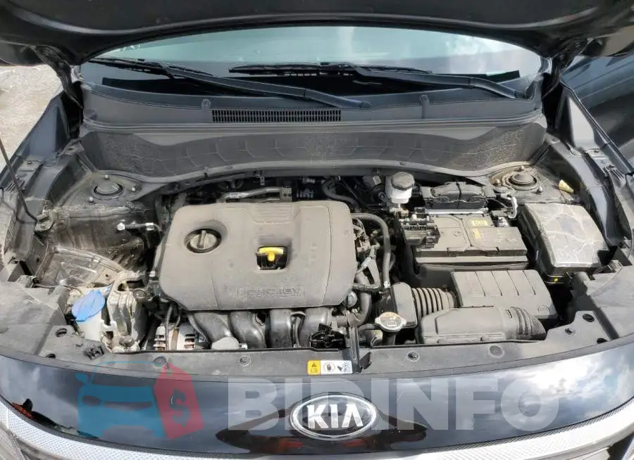 KNDERCAA1M7119368 Photo# 7