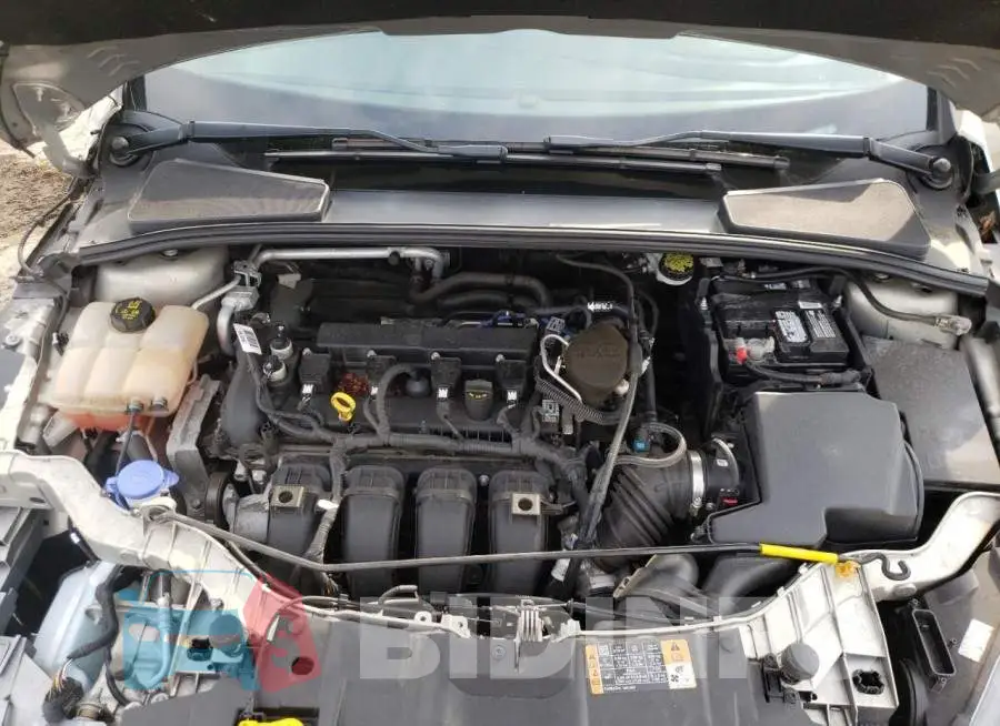 1FADP3F24GL220117 Photo# 7