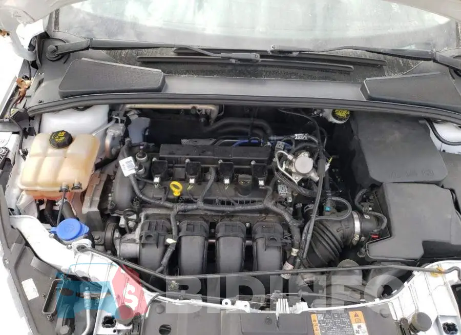 1FADP3F29GL396936 Photo# 7