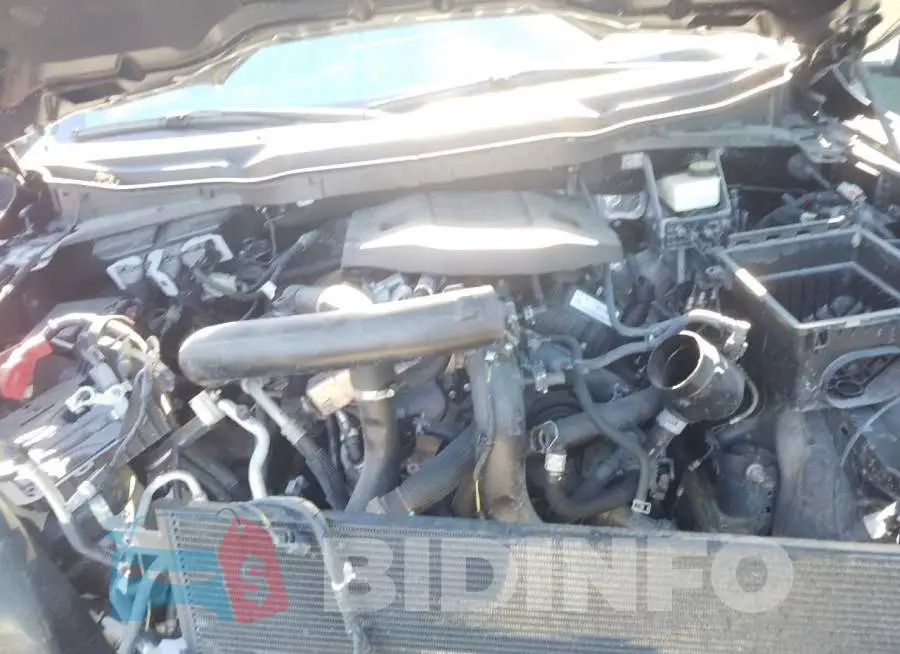 1FTFW1E81MKD76486 Photo# 7