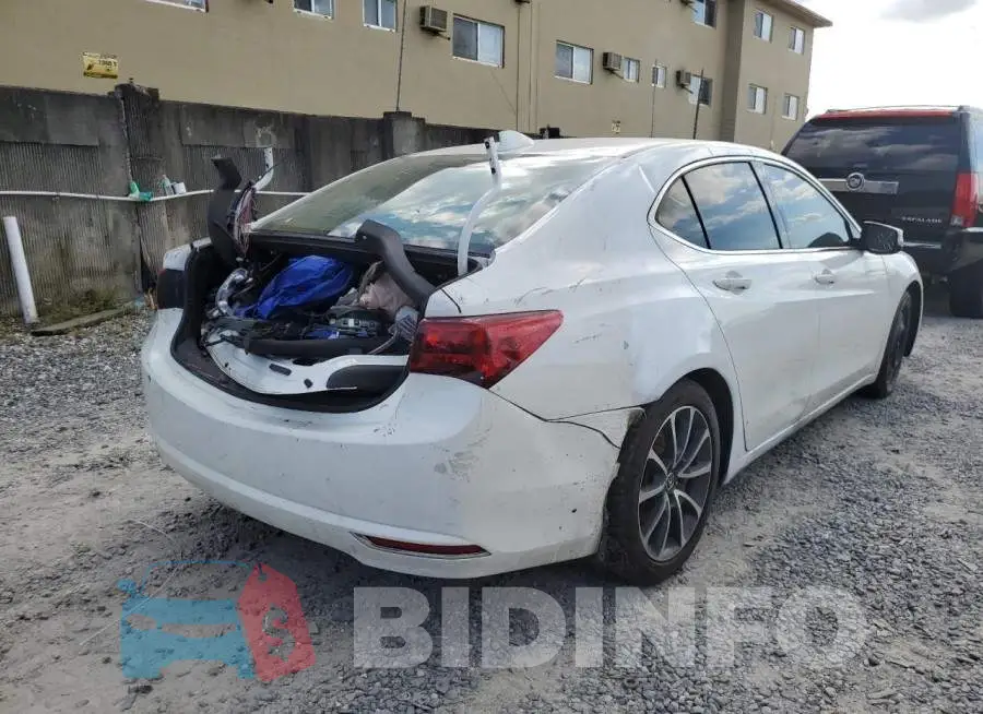19UUB2F58GA005379 Photo# 4
