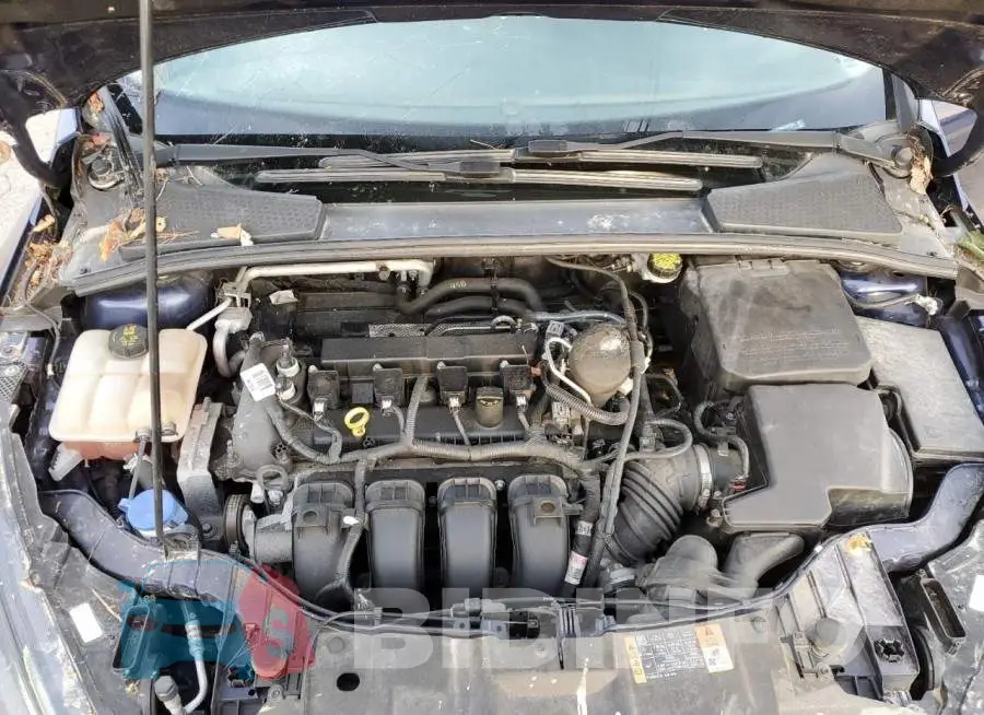 1FADP3F29GL237575 Photo# 7