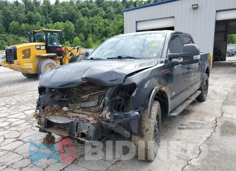 1FTEW1EG4GFD17142 Photo# 2