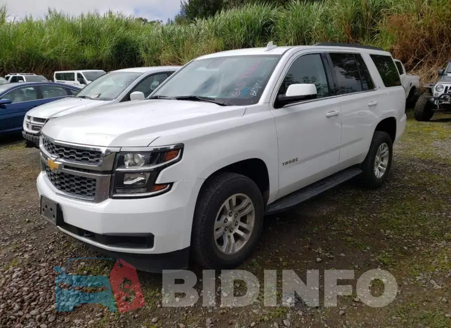 1GNSKBKC8LR259669 Photo# 2
