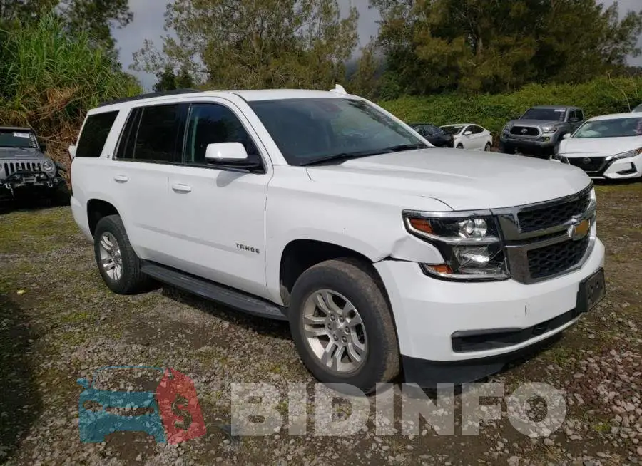 1GNSKBKC8LR259669 Photo# 1