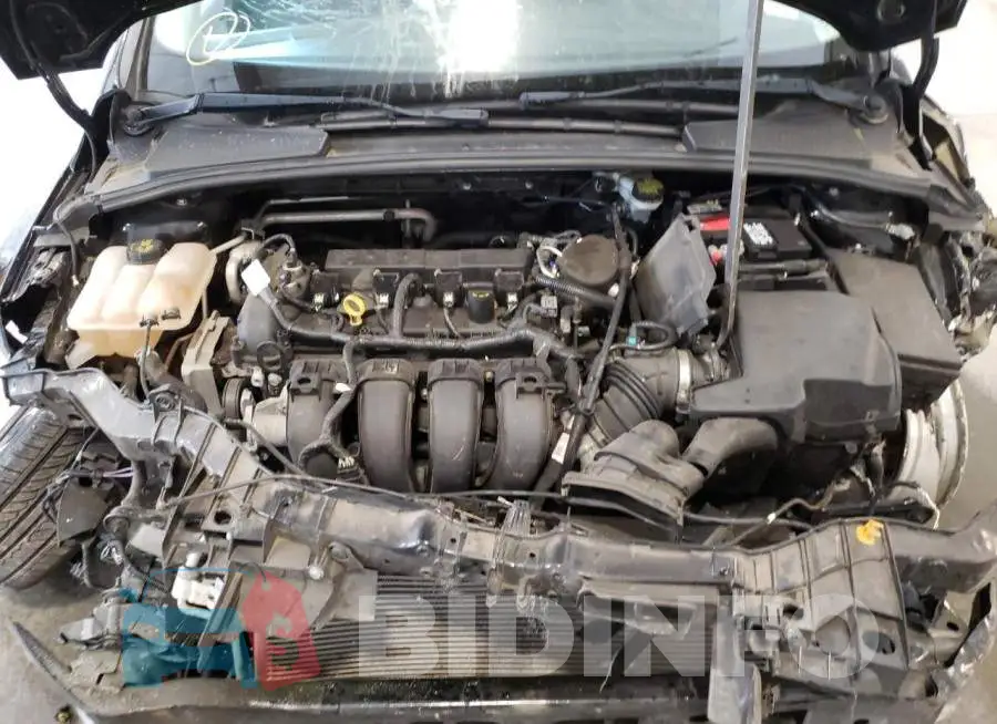 1FADP3F20GL203699 Photo# 7