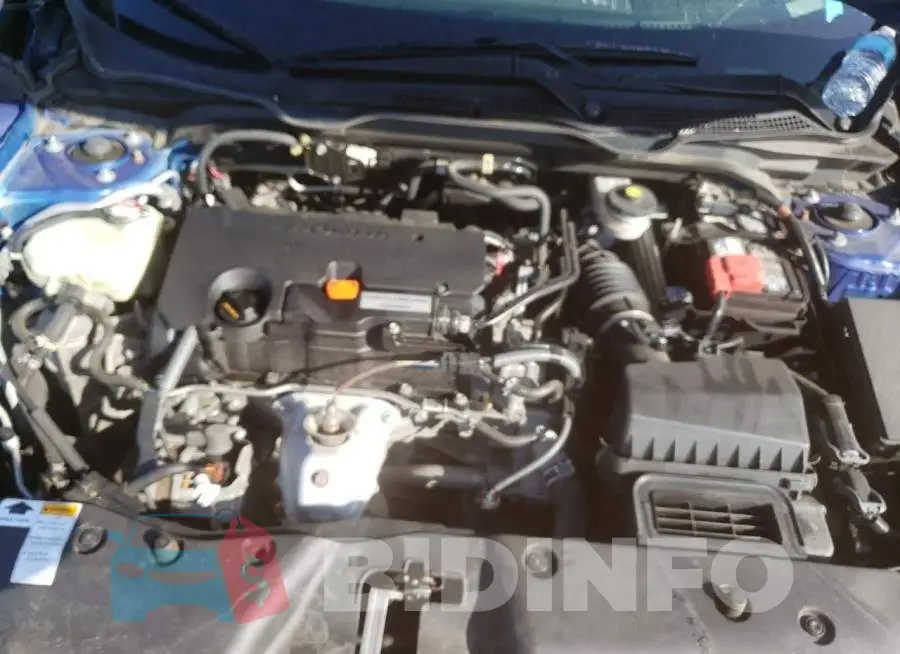 19XFC2F55GE203998 Photo# 7