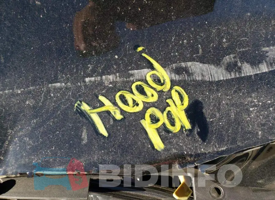3N1AB8CVXNY219620 Photo# 7