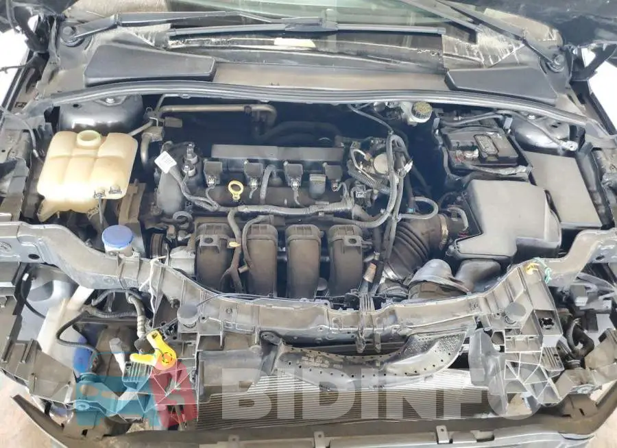 1FADP3F26GL382394 Photo# 7