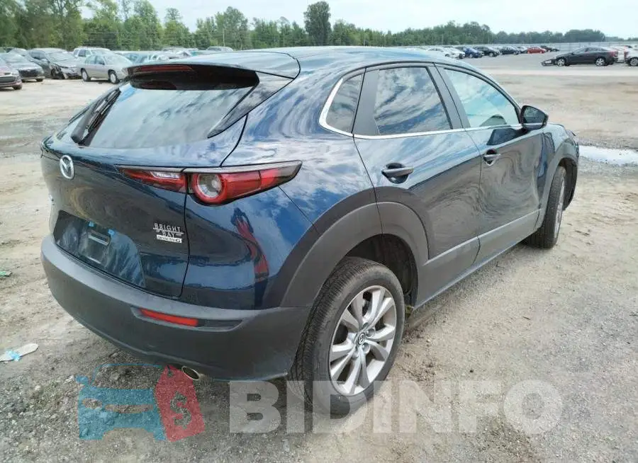 3MVDMBBLXMM302227 Photo# 4