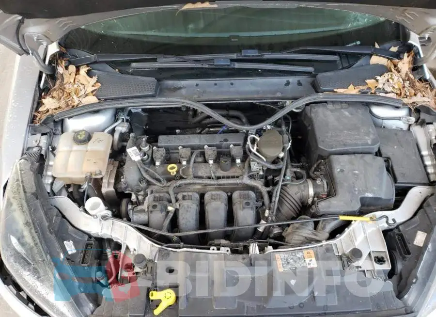 1FADP3F20GL222124 Photo# 7
