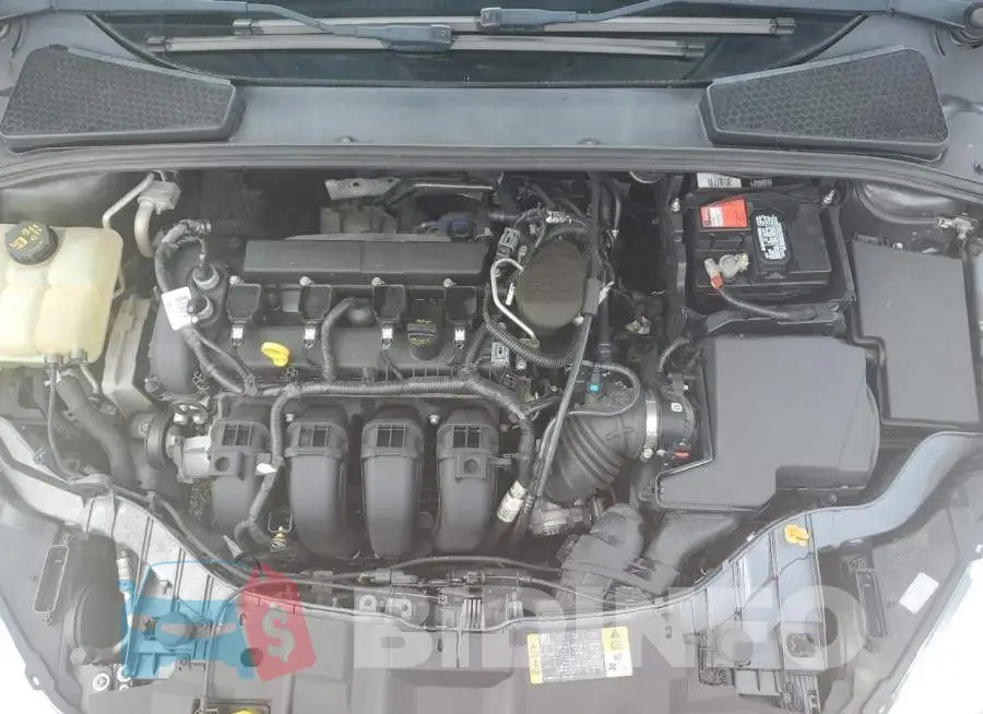 1FADP3F22GL279991 Photo# 7