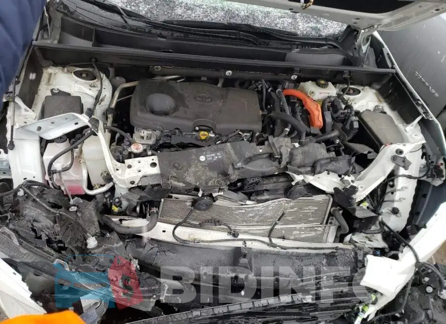 JTMEWRFV8KD517621 Photo# 7