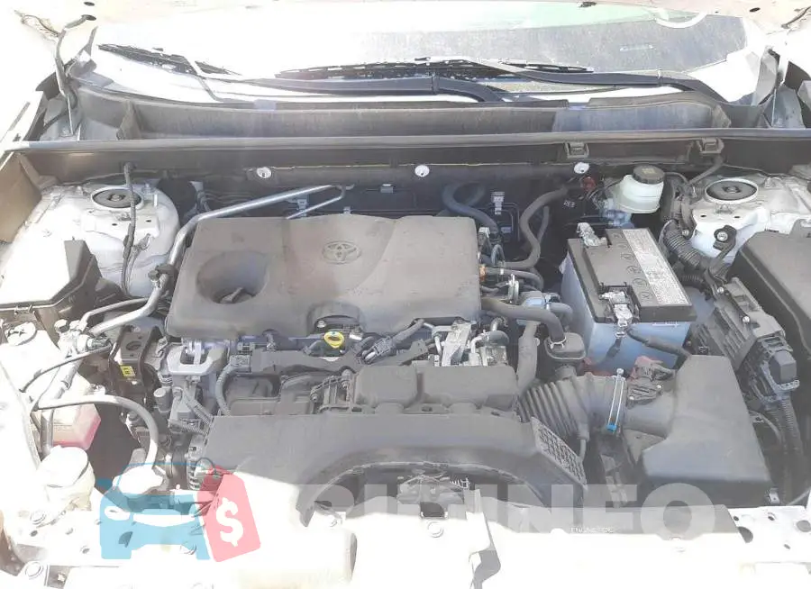 JTMP1RFV4KD517896 Photo# 7