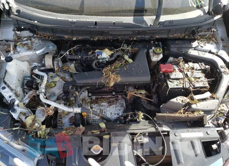 KNMAT2MT1KP556971 Photo# 7