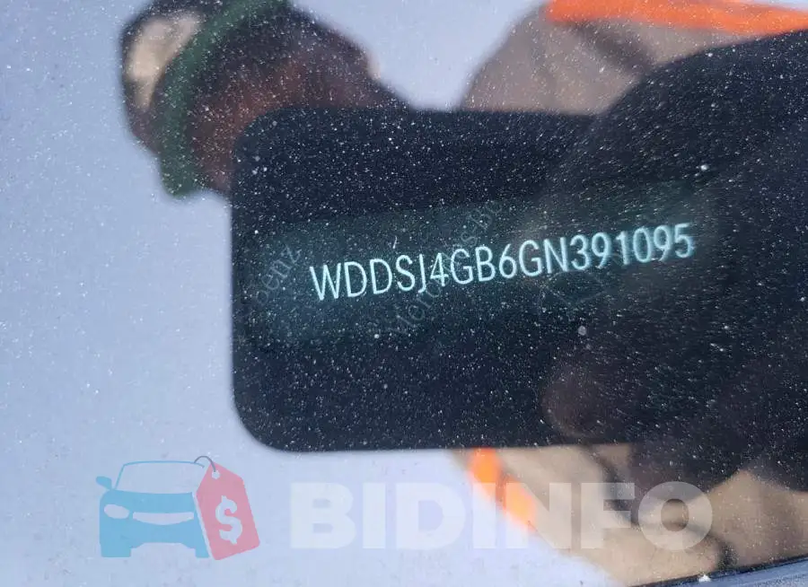 WDDSJ4GB6GN391095 Photo# 10