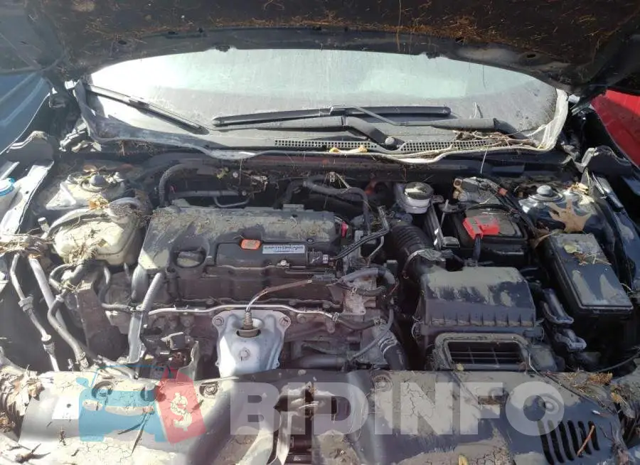 19XFC2F52JE034644 Photo# 7