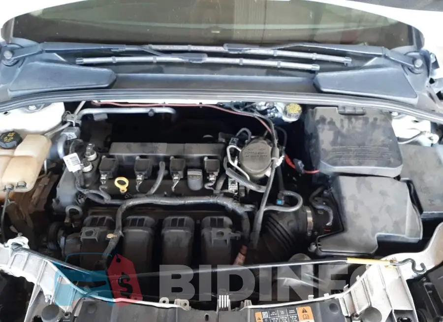 1FADP3E28GL254580 Photo# 7